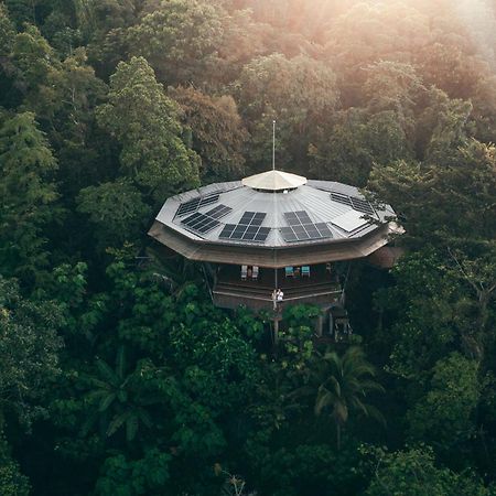 La Loma Jungle Lodge And Chocolate Farm 보카스 타운 외부 사진