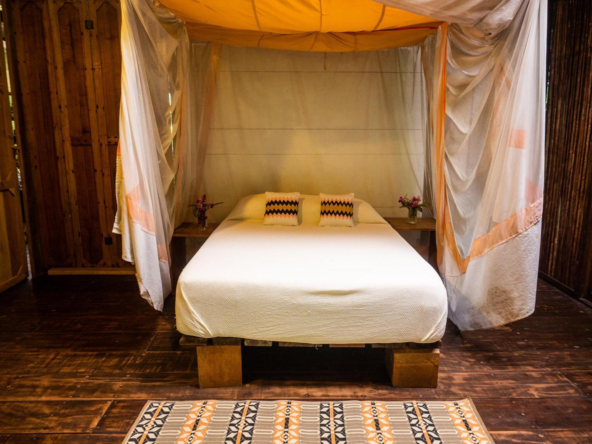 La Loma Jungle Lodge And Chocolate Farm 보카스 타운 객실 사진