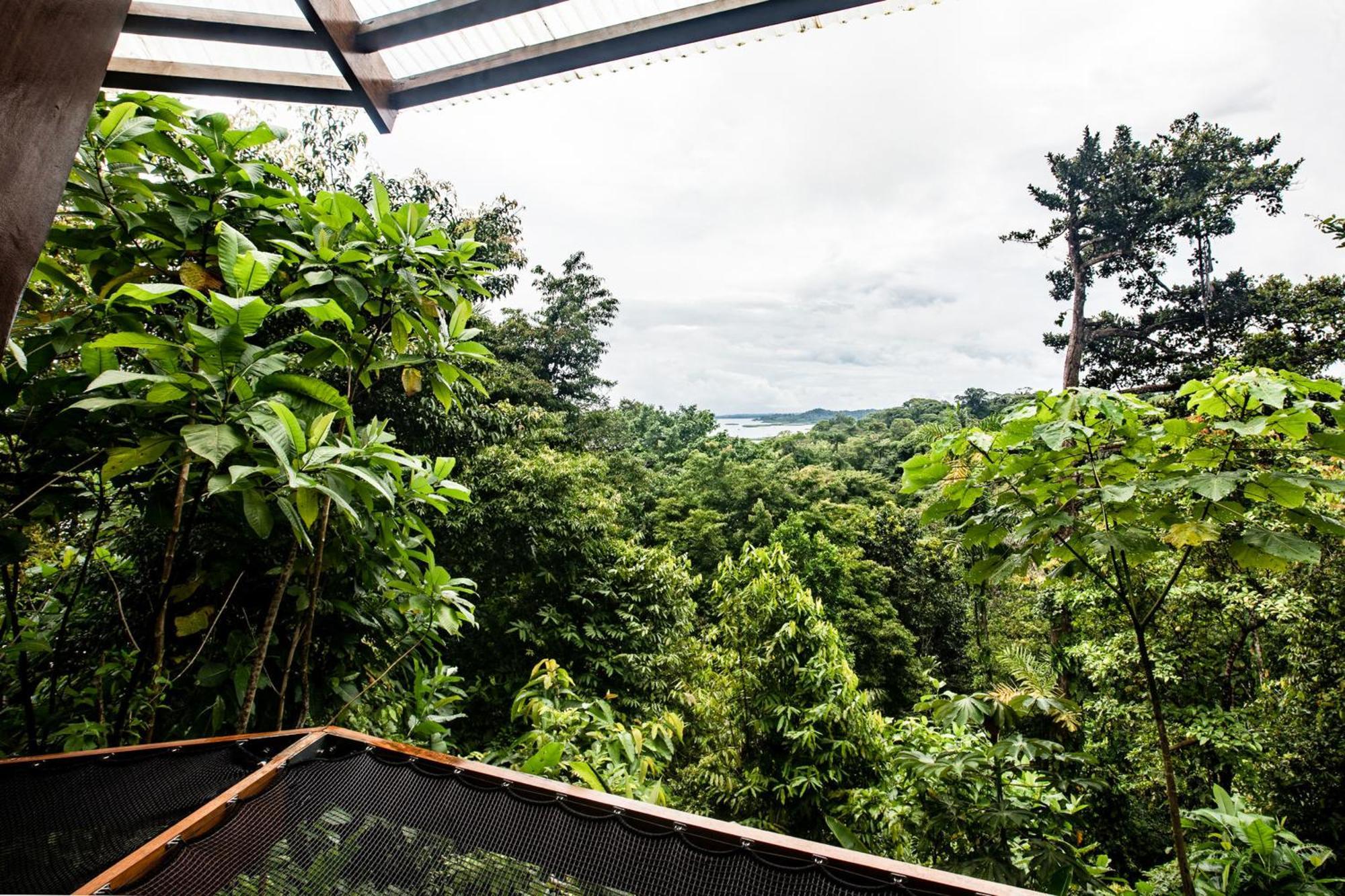 La Loma Jungle Lodge And Chocolate Farm 보카스 타운 외부 사진
