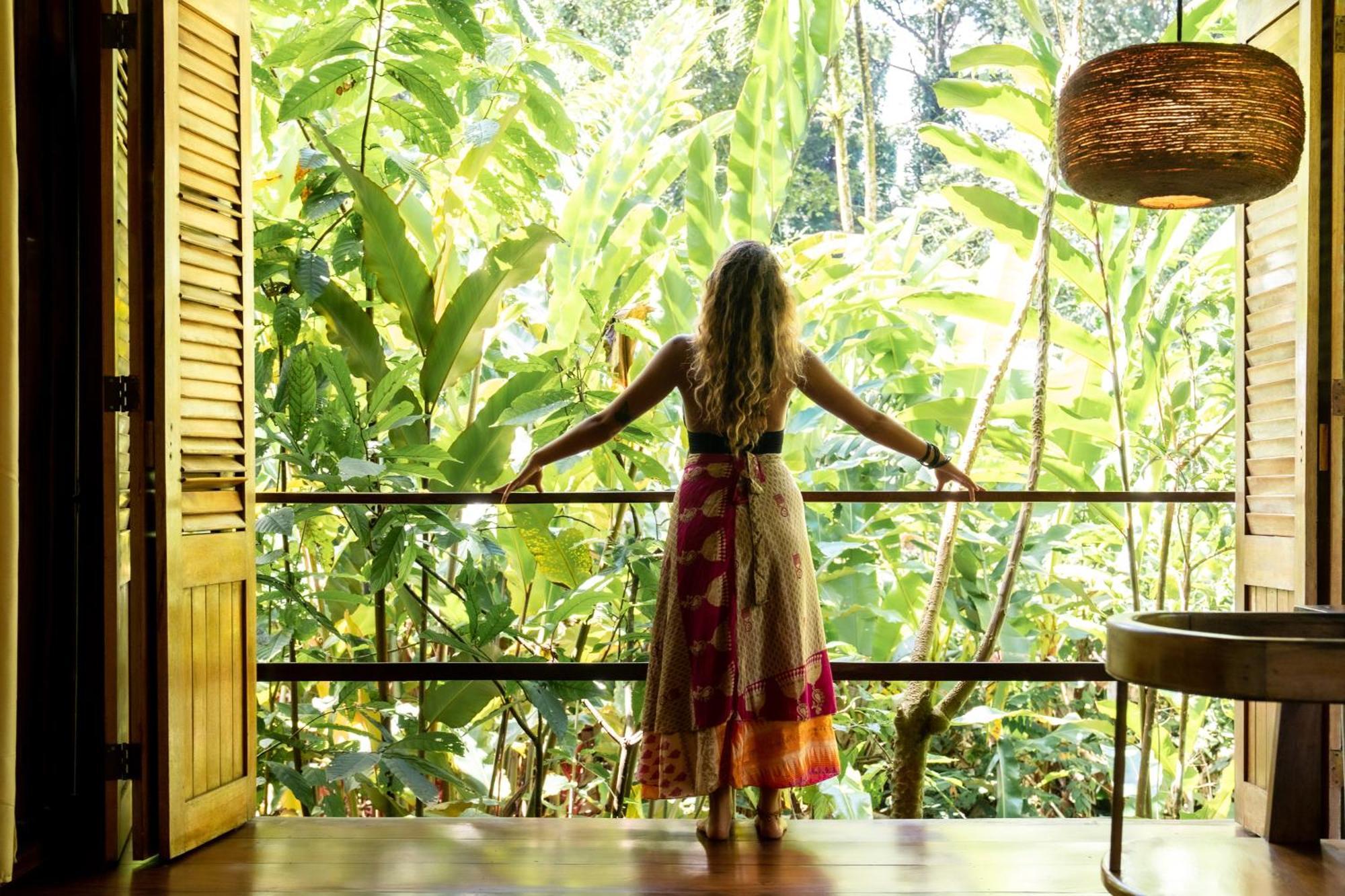 La Loma Jungle Lodge And Chocolate Farm 보카스 타운 외부 사진